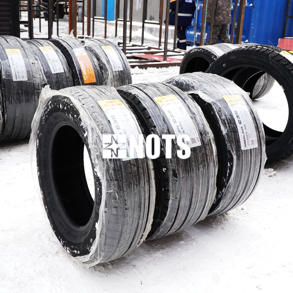 ӨВЛИЙН ДУГУЙ ЗАРНА