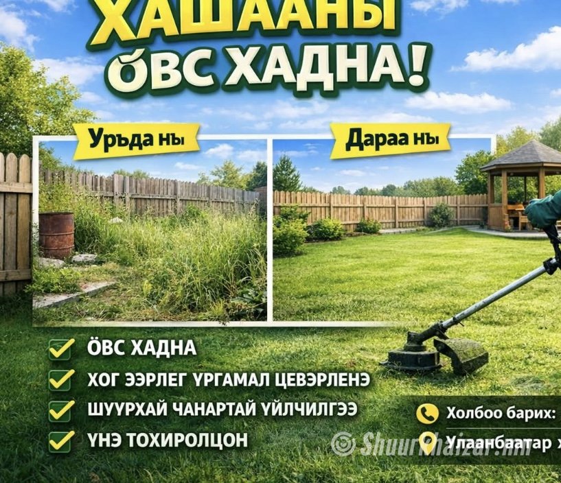 Хашааны зэрлэг хадна