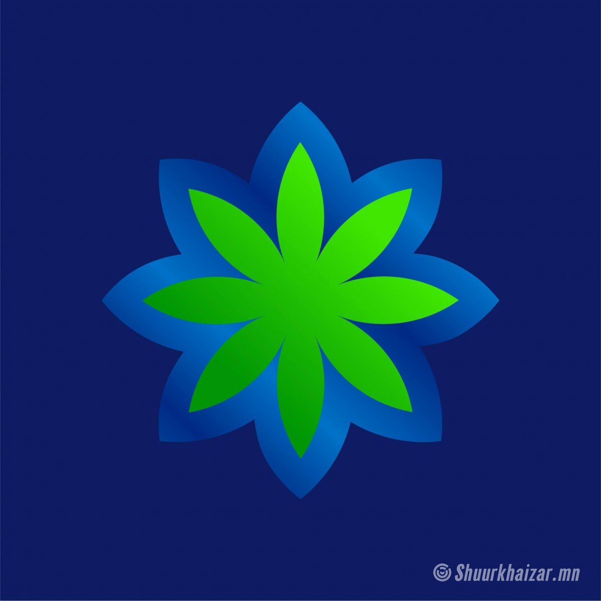 Туршлагатай нягтлан бодогч ажилд авна