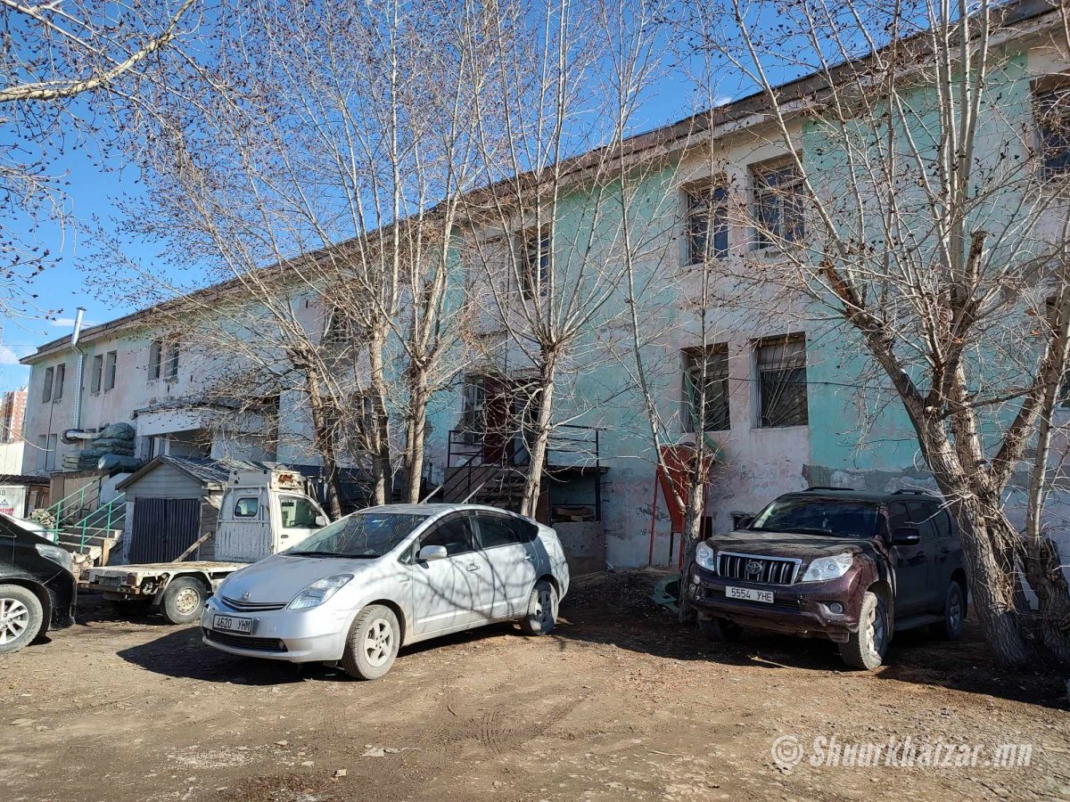 Алтай хотхоны хойно Барс захын харалдаа дулаан...