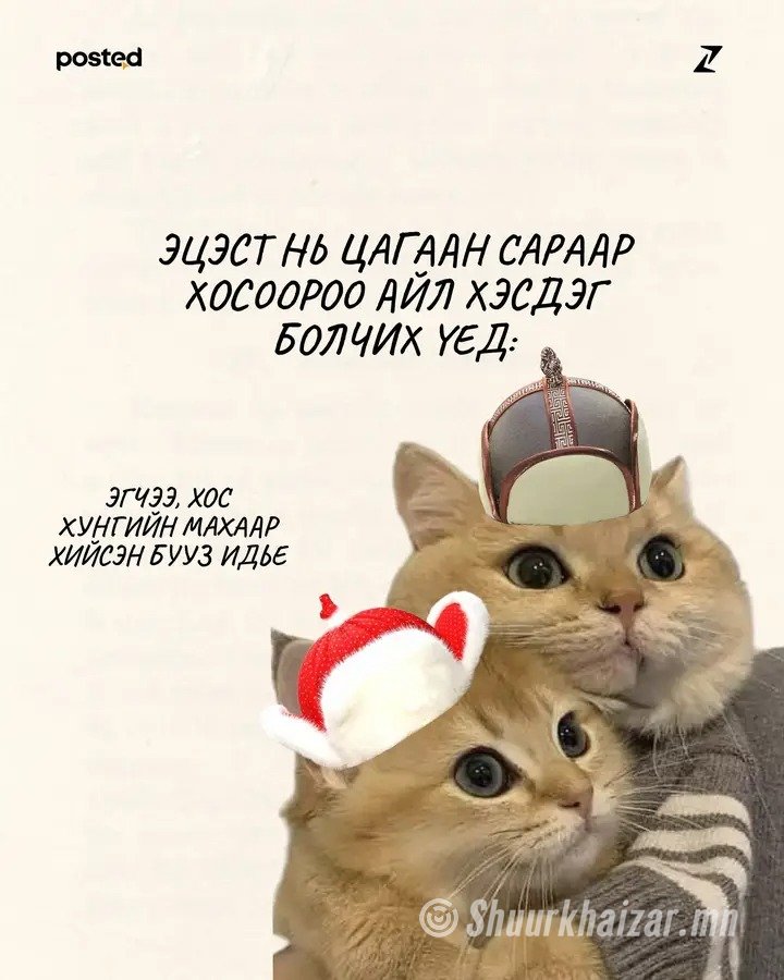 2 өрөө байр хөлслүүлнэ 99741528